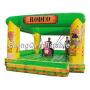 inflatable bouncer water slide
